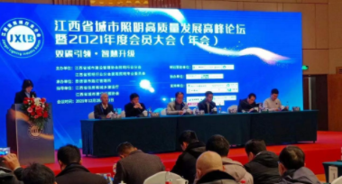 开云app在线下载-开云(中国)受邀参加江西省城市照明高质量发展高峰论坛